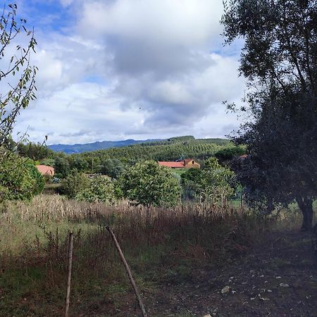Alojamento Casa Do Cabeco Alombada Macinhata do Vouga Buitenkant foto