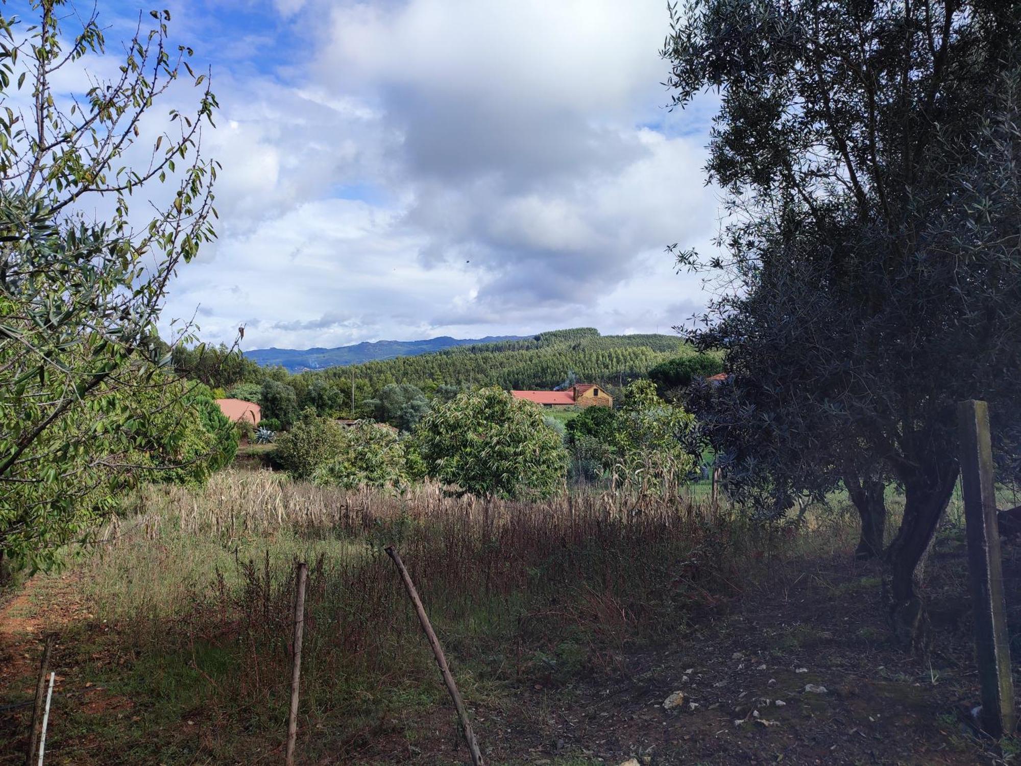 Alojamento Casa Do Cabeco Alombada Macinhata do Vouga Buitenkant foto